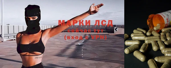 спайс Карпинск