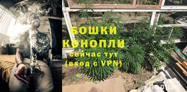 спайс Карпинск