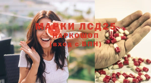 спайс Карпинск
