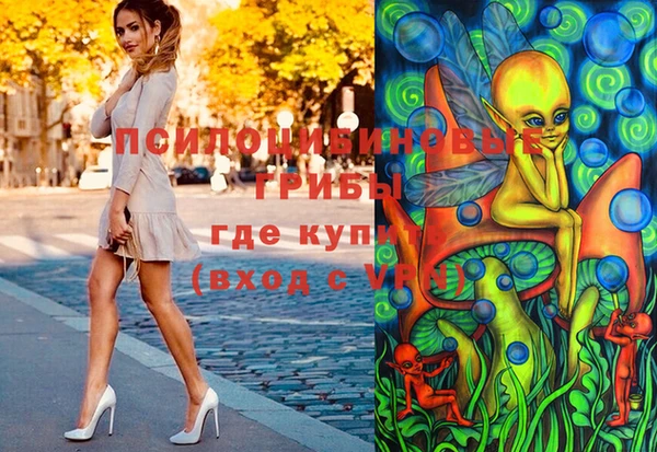 PSILOCYBIN Касимов