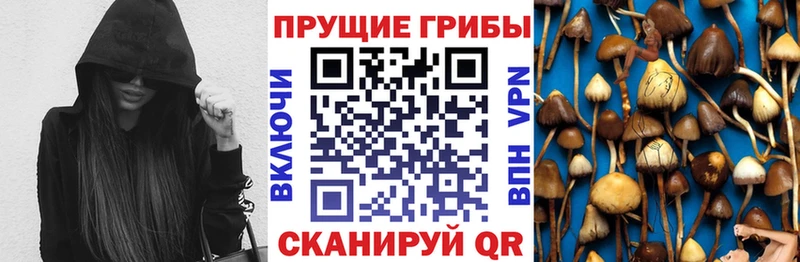 Псилоцибиновые грибы MAGIC MUSHROOMS  Купить  Верхняя Салда 